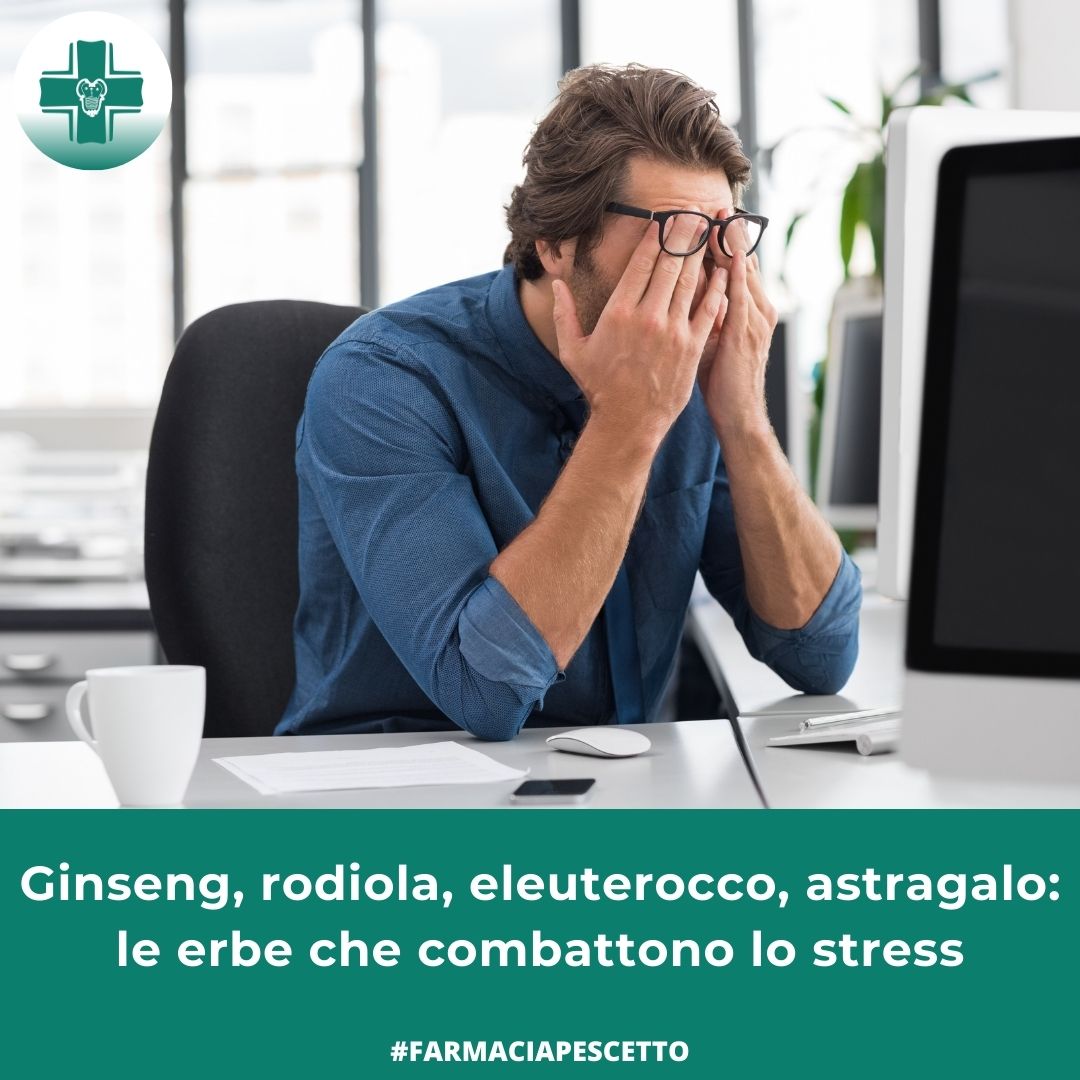 Ginseng, rodiola, eleuterococco, astragalo le piante che aiutano a combattere lo stress