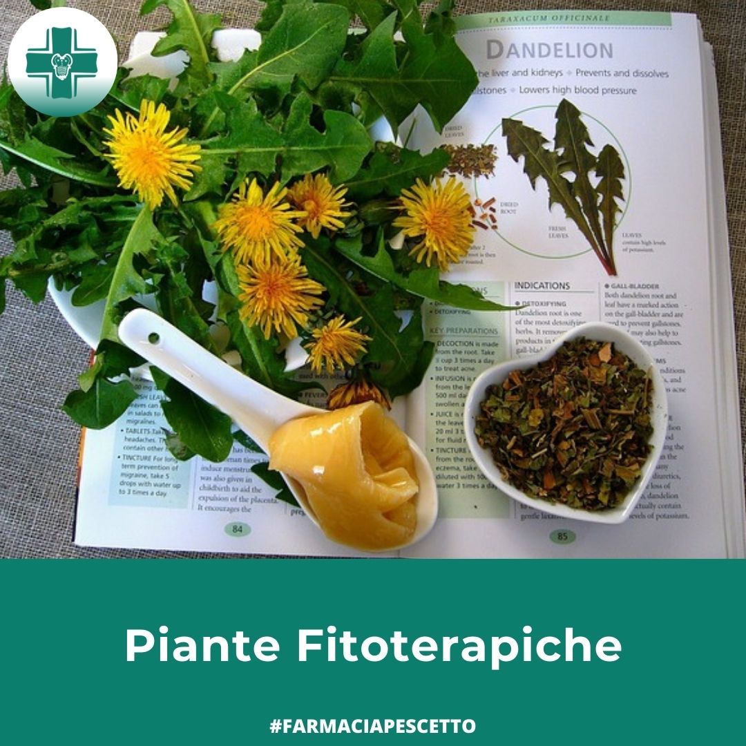 Piante Fitoterapiche